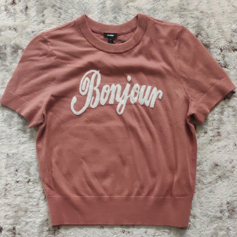 Express Mauve Graphic Sweater